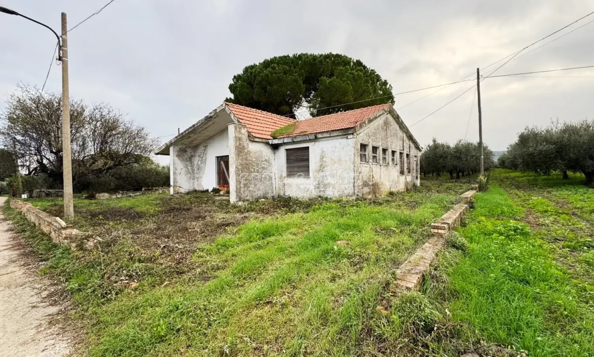 Terreno edificabile con casolare e progetto approvato